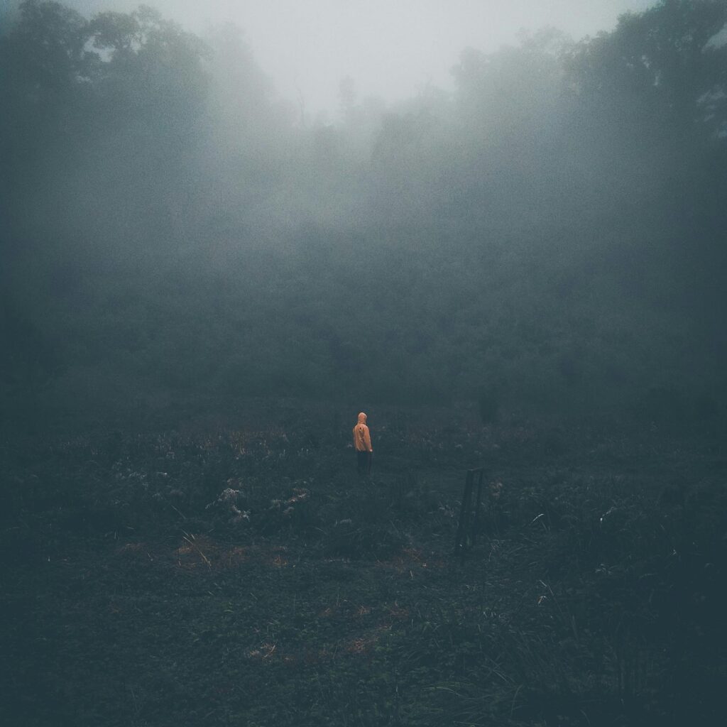 A solitary person in a hoodie roams through a foggy forest in Jawa Timur, Indonesia.